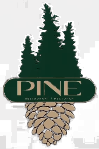 Логотип PINE